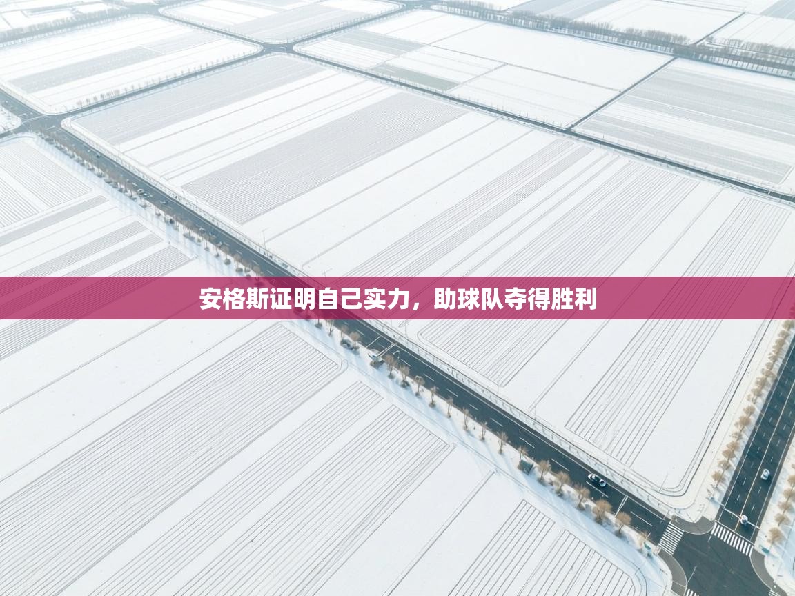 安格斯证明自己实力，助球队夺得胜利