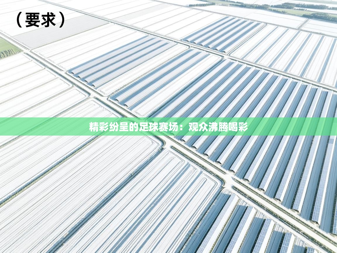 精彩纷呈的足球赛场：观众沸腾喝彩  第1张