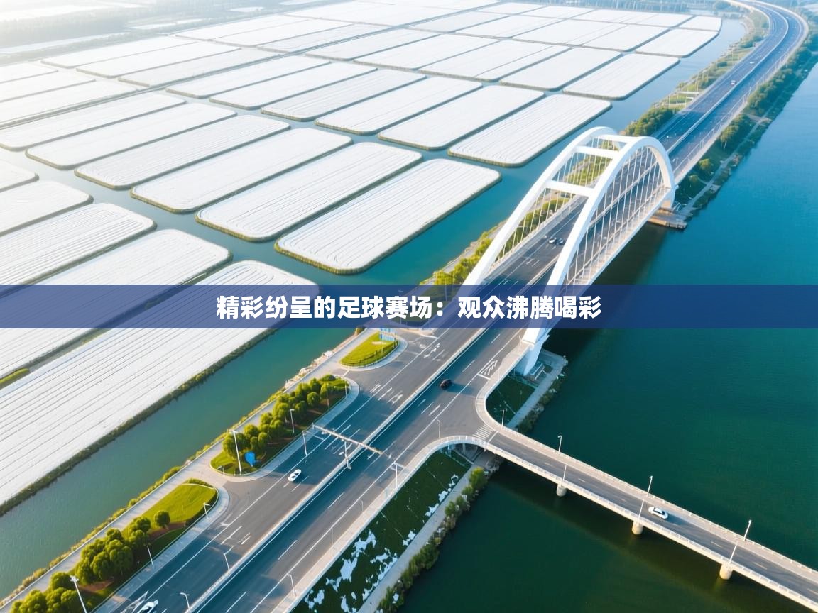 精彩纷呈的足球赛场：观众沸腾喝彩  第2张