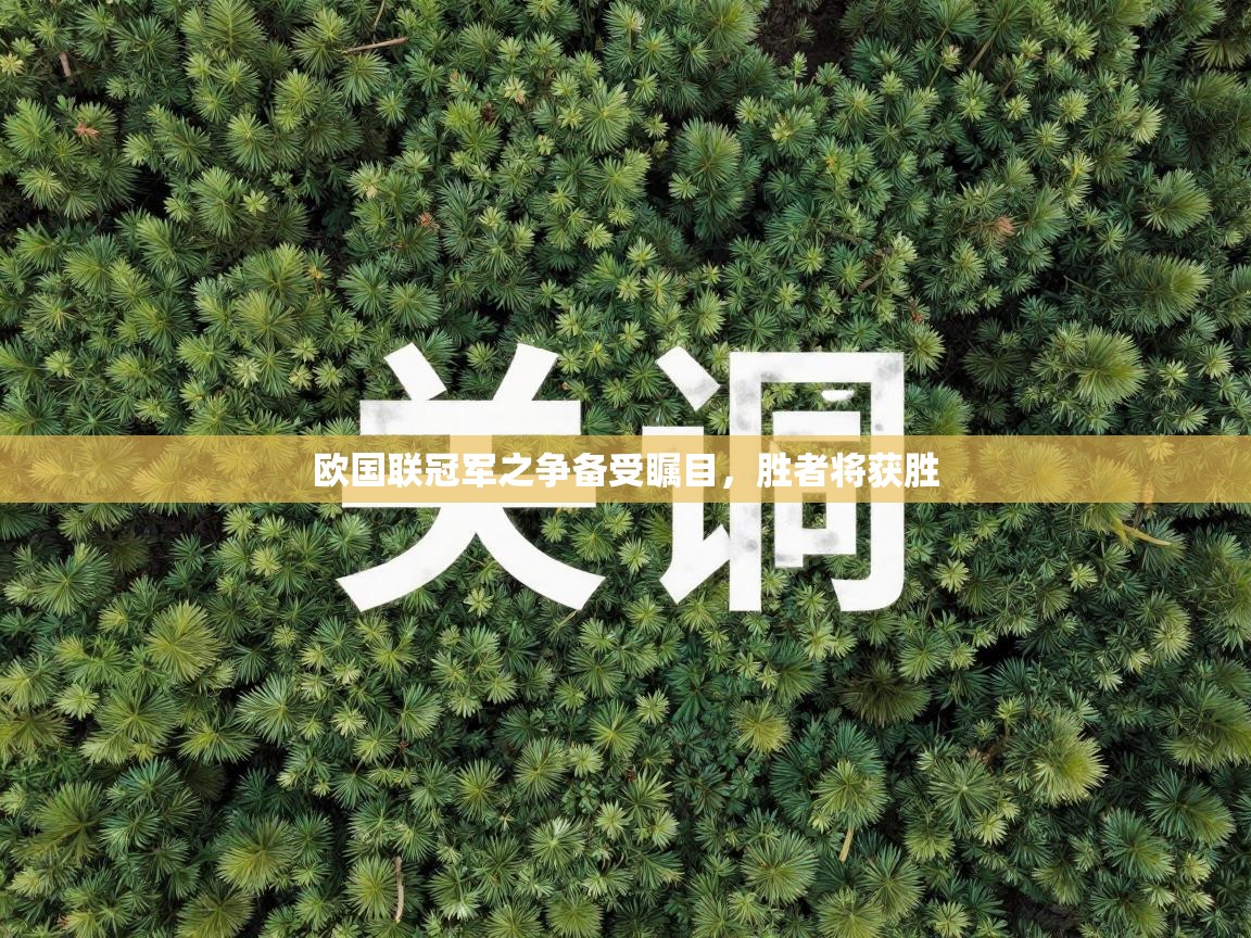 欧国联冠军之争备受瞩目,胜者将获胜 第1张